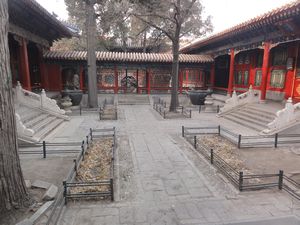 Forbidden City Garden