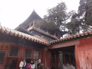 Forbidden City Garden Walls