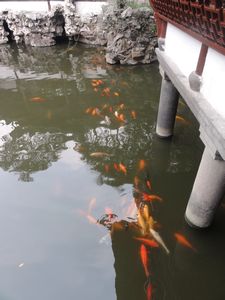 Yuyuan Garden Pool