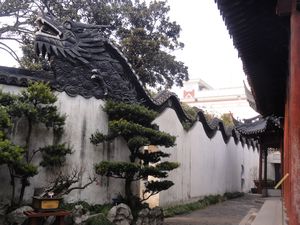 Yu Garden Wall - Dragon formation