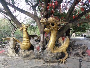 Guilin - Dragon staue around tree