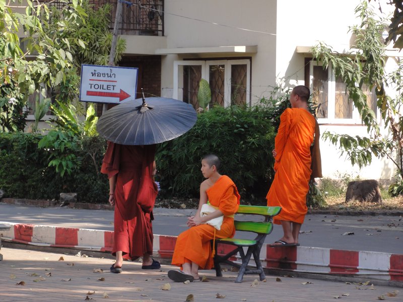 Wat Chedi Luang - monks