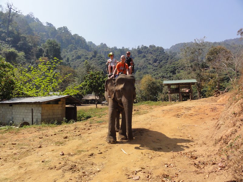 Elephant trekking - Chiang Mai