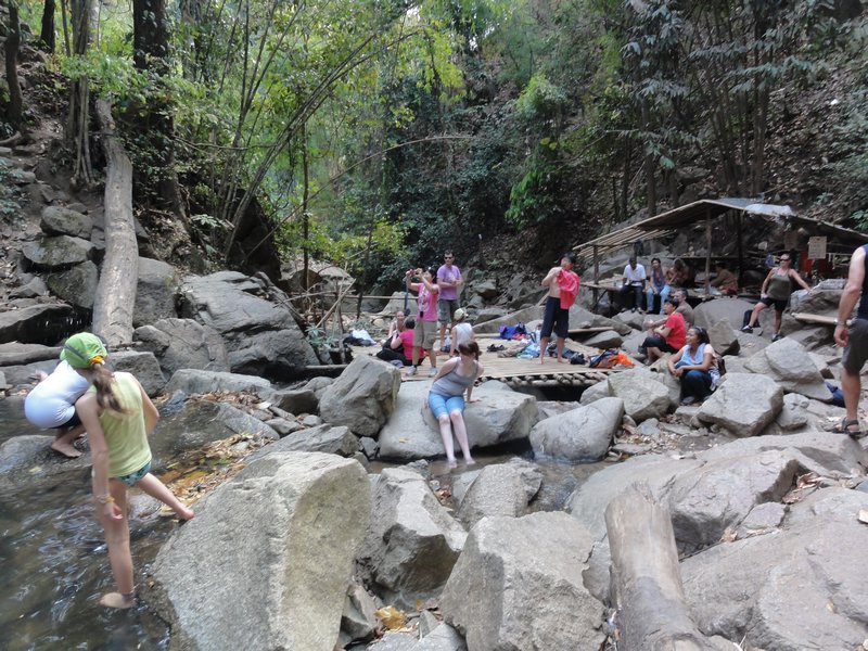 Jungle walk to Waterfall - Chiang Mai