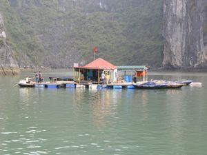 Halong Bay -Floating Village