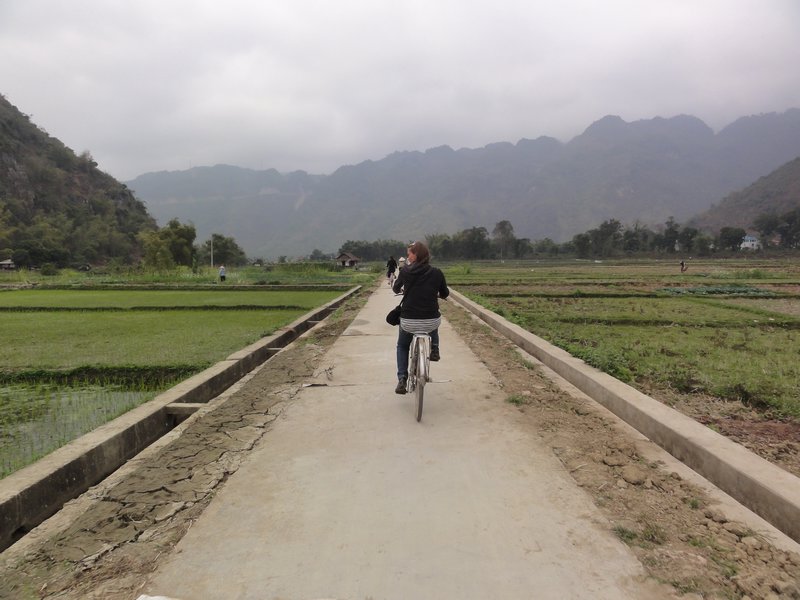 Mai Chau Valley - Rice Fields