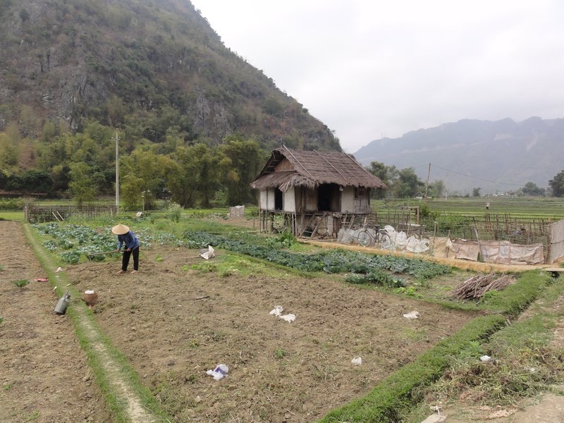 Mai Chau Valley - Farmer