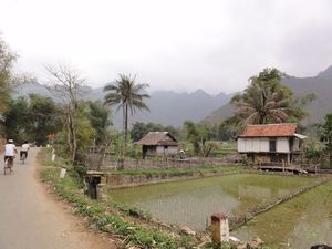 Mai Chau Valley - Farmland