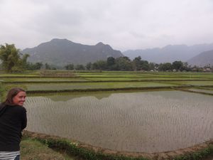 Mai Chau rice fields