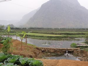Mai Chau farmland