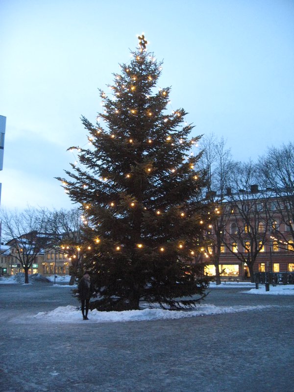 Uppsala's Christmas Tree