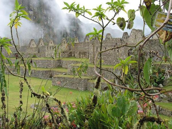 Flowery Picchu