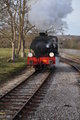 The Steam Railway 