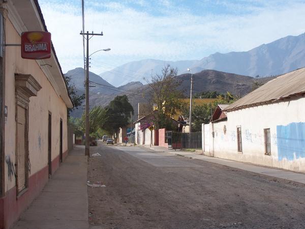 The Town of Vicuña