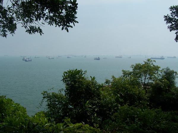 Singapore's Harbor