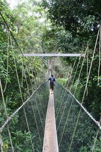 Me On the Canopy Walk