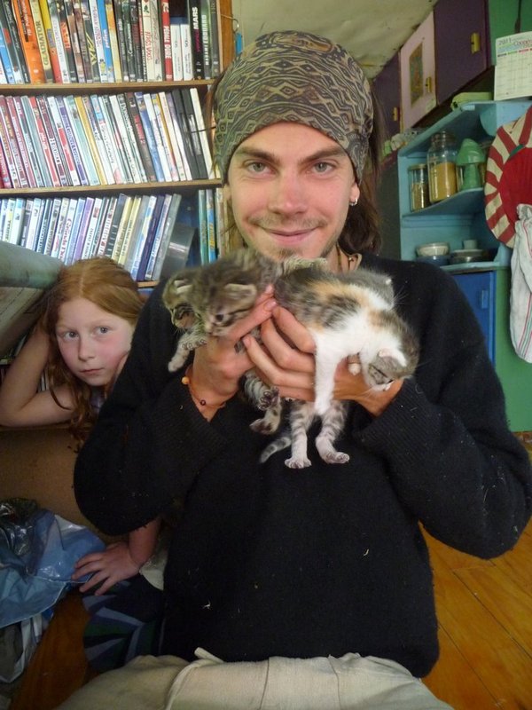 benji and the kittens