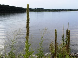 Iowa Lake McBride