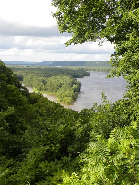 Mississippi River View