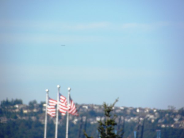 Tacoma Flags