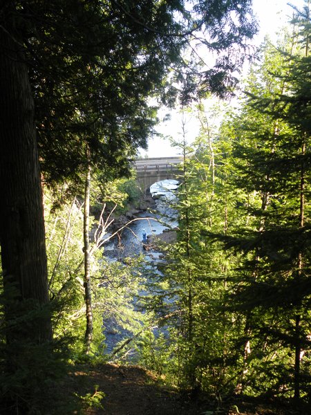 Cascade River View