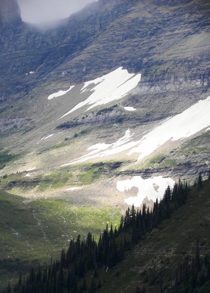 Glacier National Park View