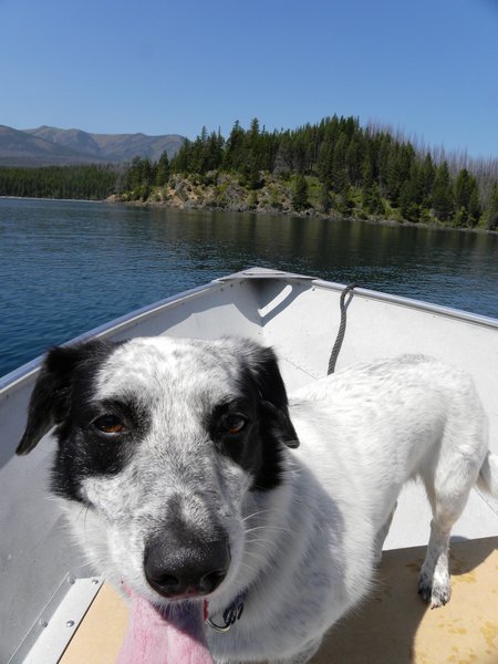 Sophie in the boat