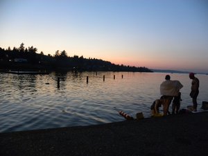 Seward Park Seattle Lake Washiington