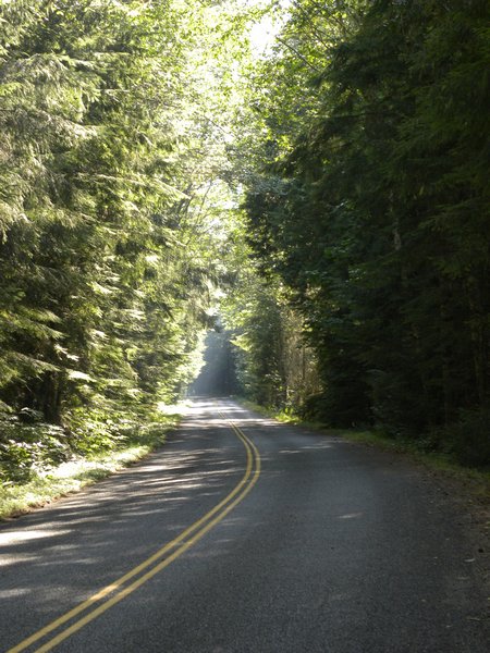 National Forest Road