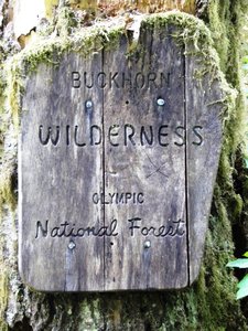 Forest Service Sign