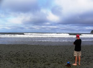 Contemplating the Pacific
