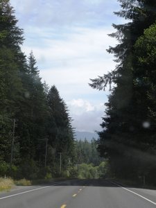 Quinault Indian Reservation Drive View