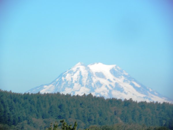 4 Tacoma Rainier View