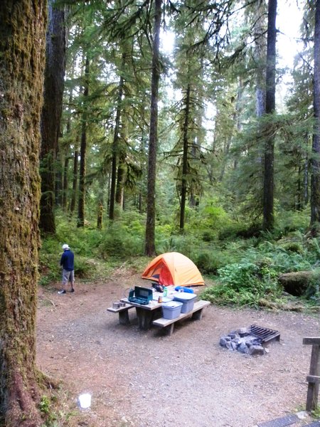4 Campbell Tree Grove Campground View 2