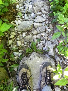 Monty Cristo Hike Trail Detail