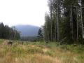 Gifford Pinchot Nat Forest View 6