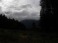Gifford Pinchot National Forest 3
