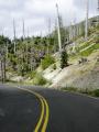 Mt. St. Helens Windy Ridge Drive 10