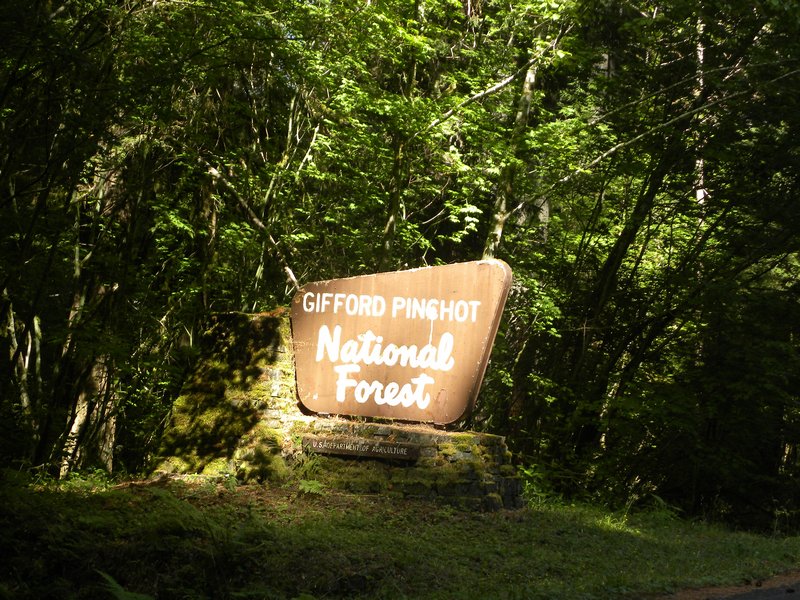 1 Gifford Pinchot National Forest Sign