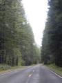 1 Gifford Pinchot National Forest Drive