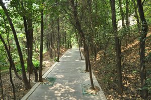 a path along the mountain