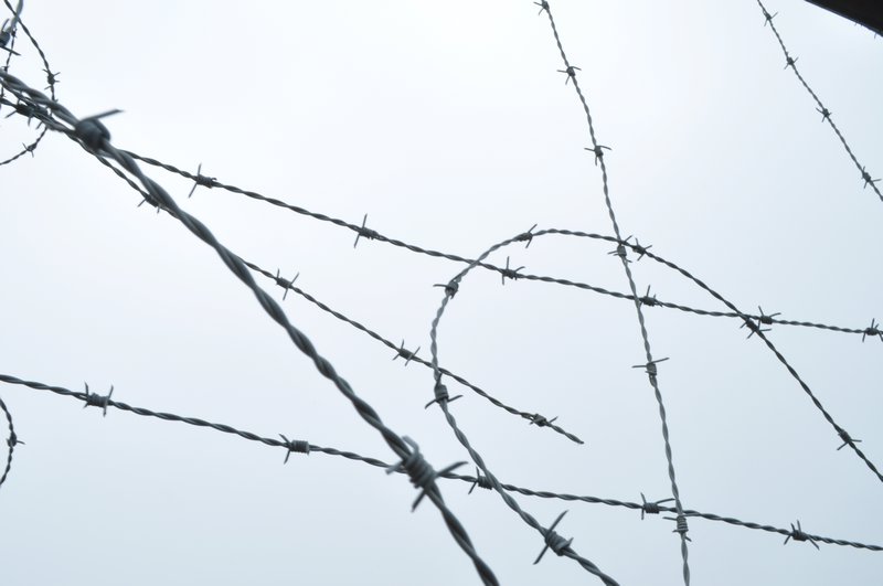 The barbed wire fence