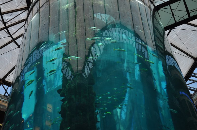 the Radisson fish tank elevator!