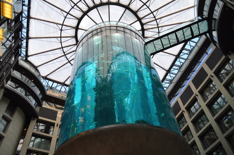 Fish tank elevator