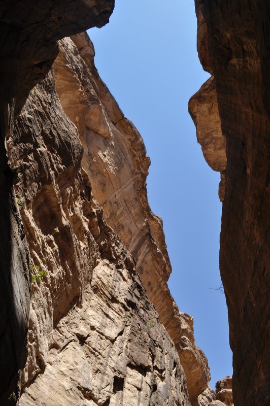 Looking up in the Siq