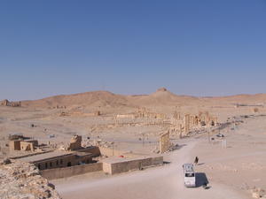 Palmyra 3