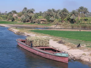 Life along the Nile