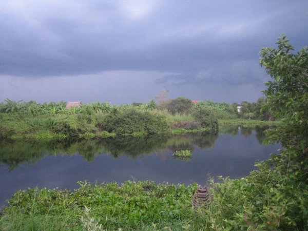 Storm over wetlands