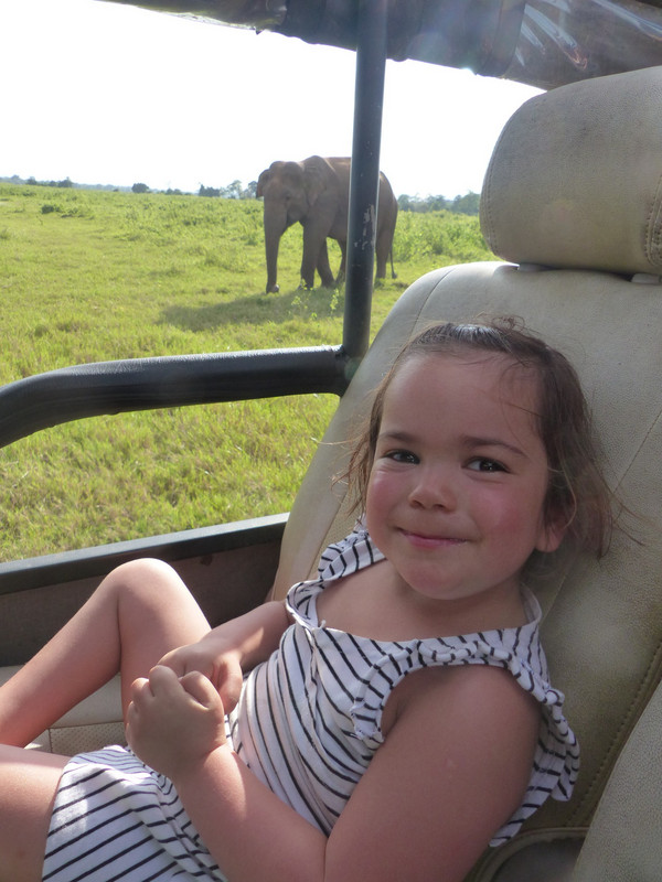 Ella and the elephants  - her first sighting of a wild ele