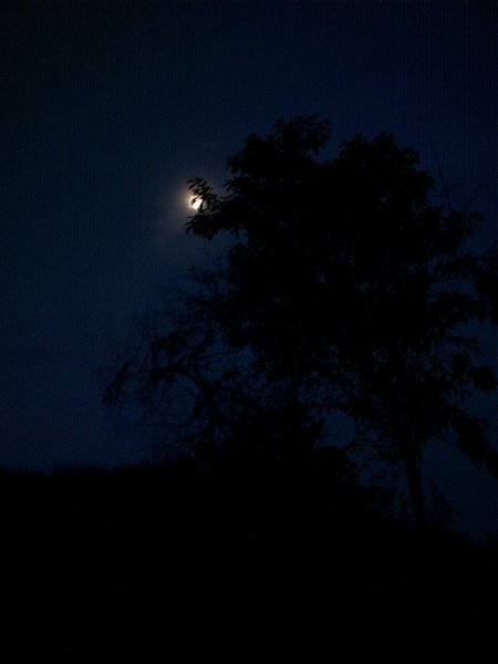 Quepos moon minutes before sunrise...
